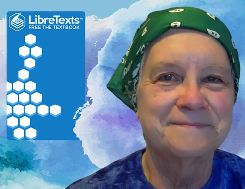 Dr. Reitzel in front a customized LibreTexts backdrop